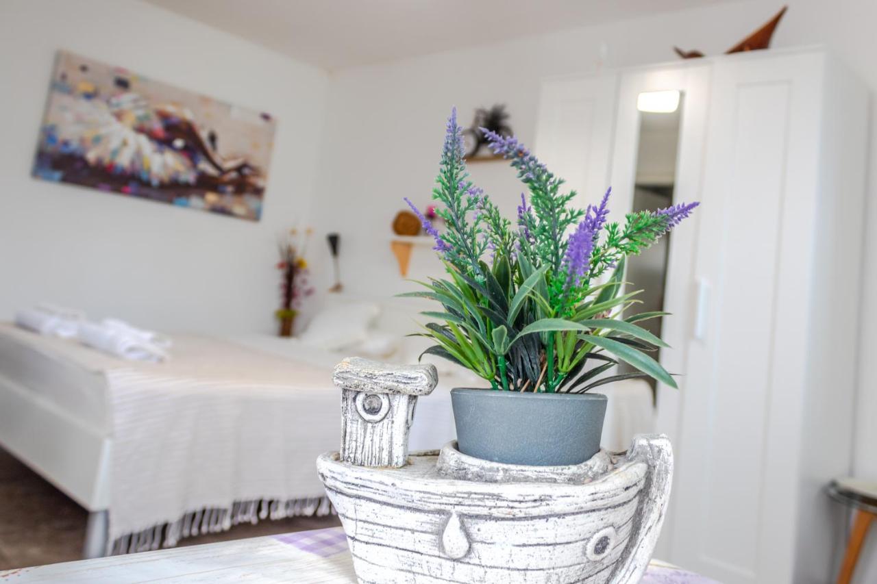 Villa Little Garden House à Rijeka Extérieur photo