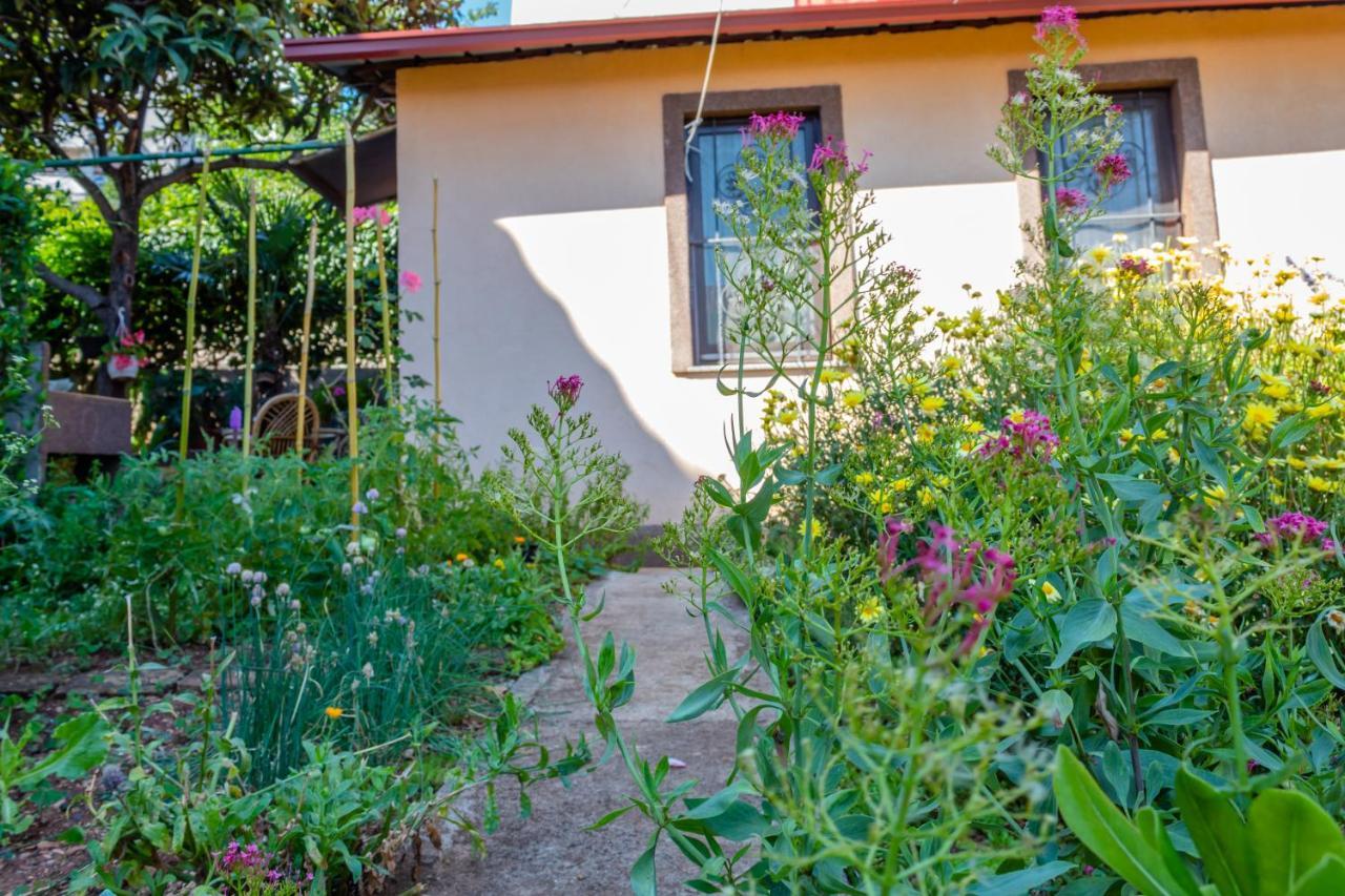 Villa Little Garden House à Rijeka Extérieur photo